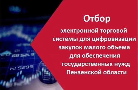Проведение отбора электронной торговой системы для цифровизации закупок малого объема для обеспечения государственных нужд Пензенской области